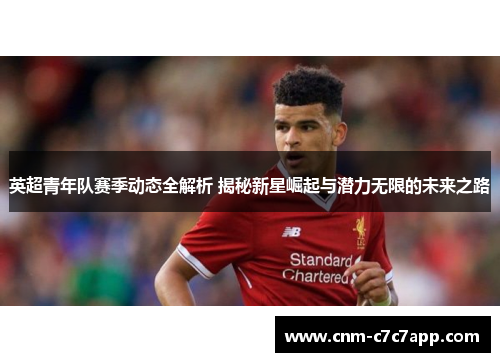 英超青年队赛季动态全解析 揭秘新星崛起与潜力无限的未来之路 英超青年队赛季动态全解析 揭秘新星崛起与潜力无限的未来之路