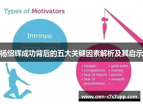 杨绍辉成功背后的五大关键因素解析及其启示 杨绍辉成功背后的五大关键因素解析及其启示