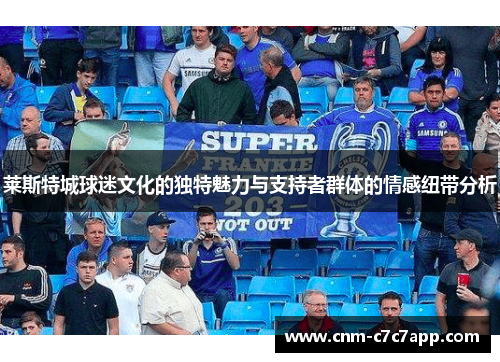 莱斯特城球迷文化的独特魅力与支持者群体的情感纽带分析 莱斯特城球迷文化的独特魅力与支持者群体的情感纽带分析
