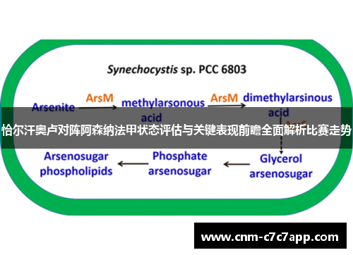 恰尔汗奥卢对阵阿森纳法甲状态评估与关键表现前瞻全面解析比赛走势 恰尔汗奥卢对阵阿森纳法甲状态评估与关键表现前瞻全面解析比赛走势