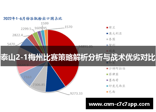 泰山2-1梅州比赛策略解析分析与战术优劣对比 泰山2-1梅州比赛策略解析分析与战术优劣对比