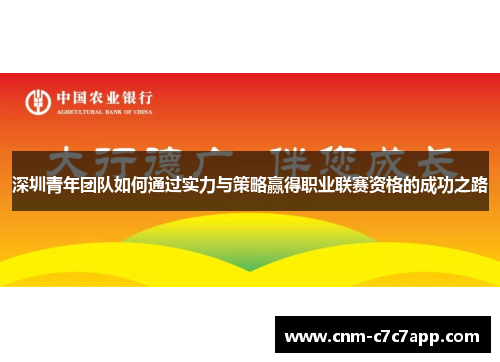 深圳青年团队如何通过实力与策略赢得职业联赛资格的成功之路