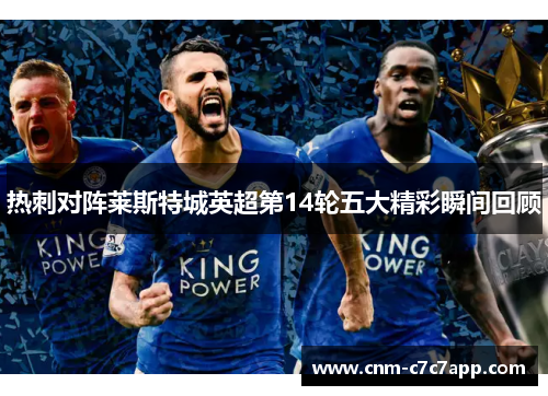热刺对阵莱斯特城英超第14轮五大精彩瞬间回顾