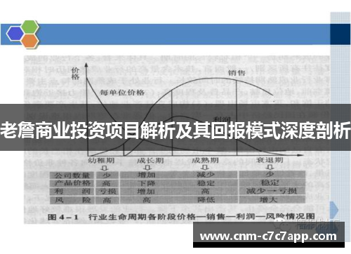 老詹商业投资项目解析及其回报模式深度剖析 老詹商业投资项目解析及其回报模式深度剖析
