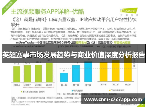 英超赛事市场发展趋势与商业价值深度分析报告 英超赛事市场发展趋势与商业价值深度分析报告