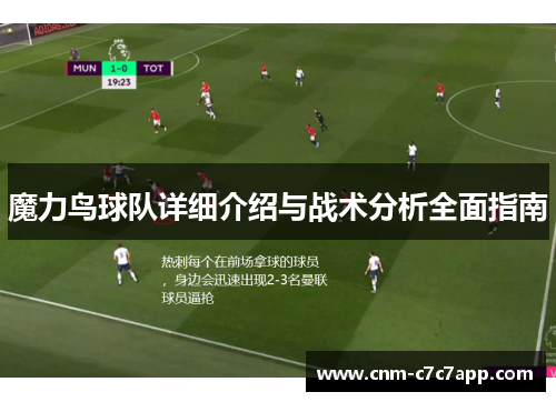 魔力鸟球队详细介绍与战术分析全面指南 魔力鸟球队详细介绍与战术分析全面指南